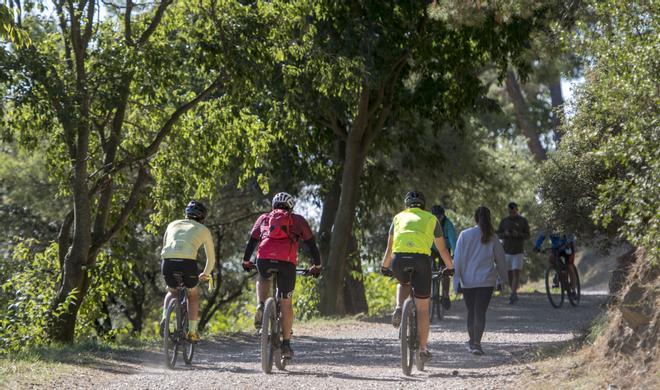 Collserola torna a obrir-se a activitats al medi natural però només grups de menys de 10 persones