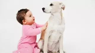 ¿A partir de qué edad puede un niño tener a su primera mascota?