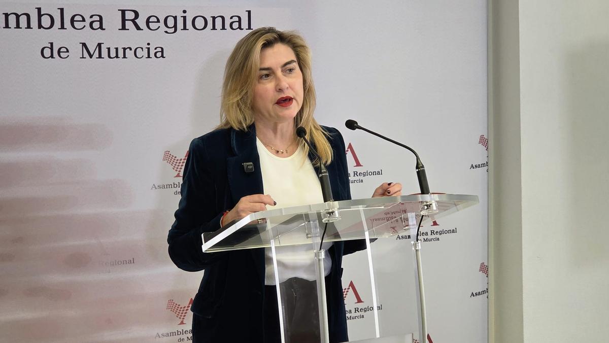 Carmina Fernández, portavoz socialista en la Asamblea.