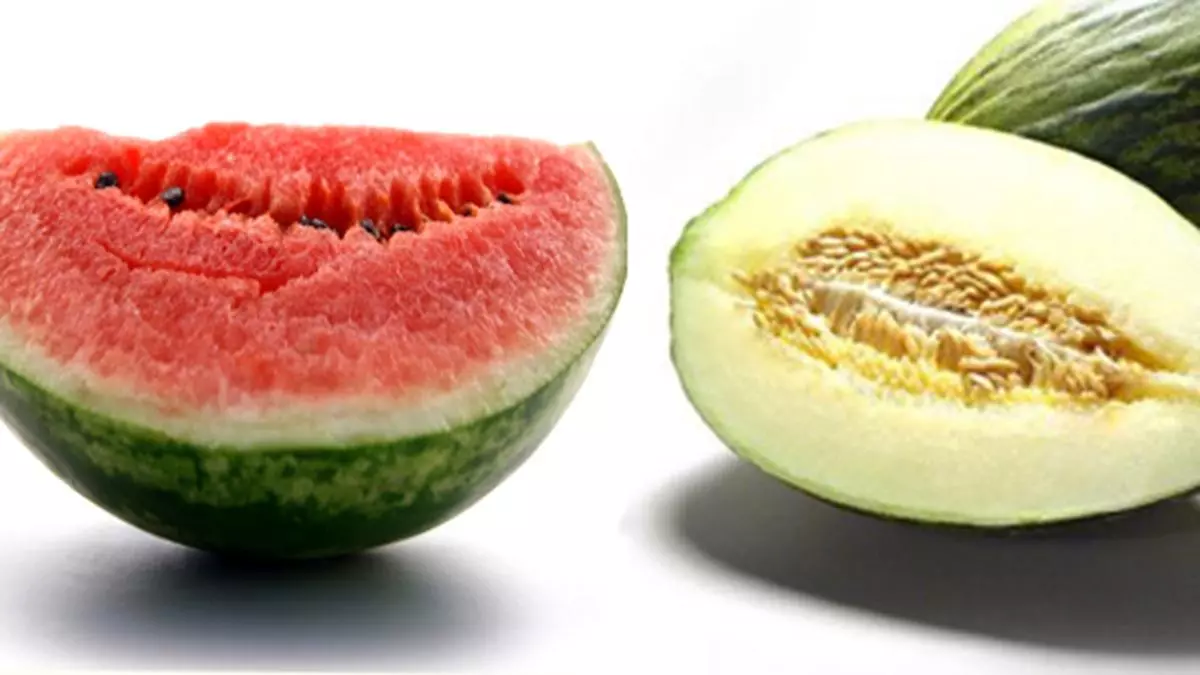 Sandía vs melón: diferencias clave que afectan a tu salud