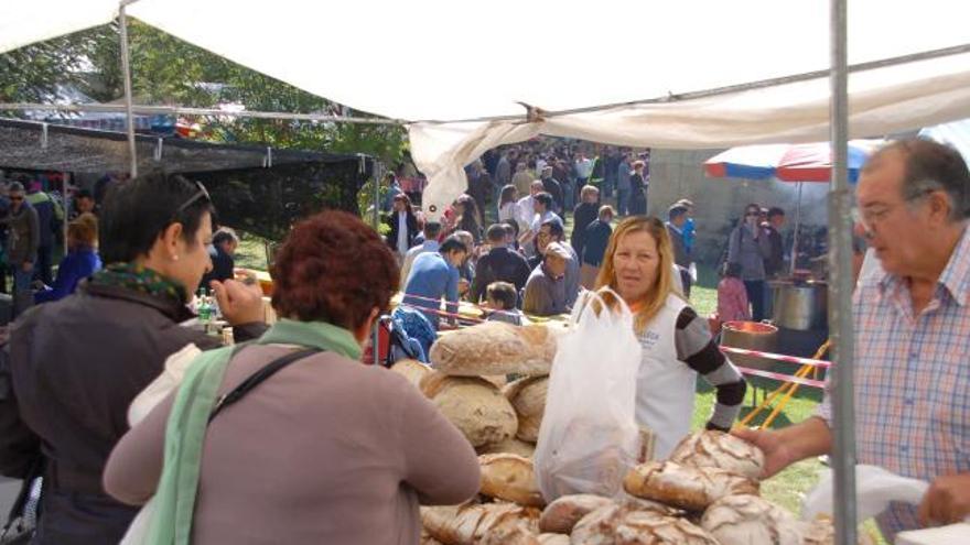 Puestos de alimentos en la pradera.