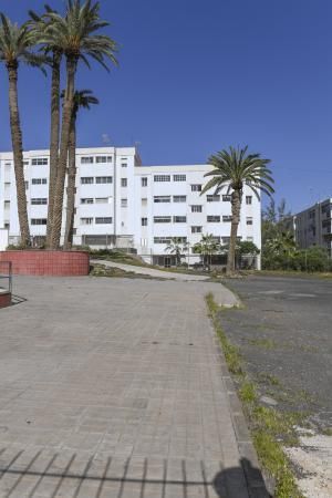 LAS PALMAS DE GRAN CANARIA  06-02-2019  LAS PALMAS DE GRAN CANARIA.  Palmeras en el solar en donde Hiperdino proyecta construir un supermercado y reconstruir la Iglesia de La Vega de San Jose.  FOTOS: JUAN CASTRO  | 06/02/2019 | Fotógrafo: Juan Carlos Castro