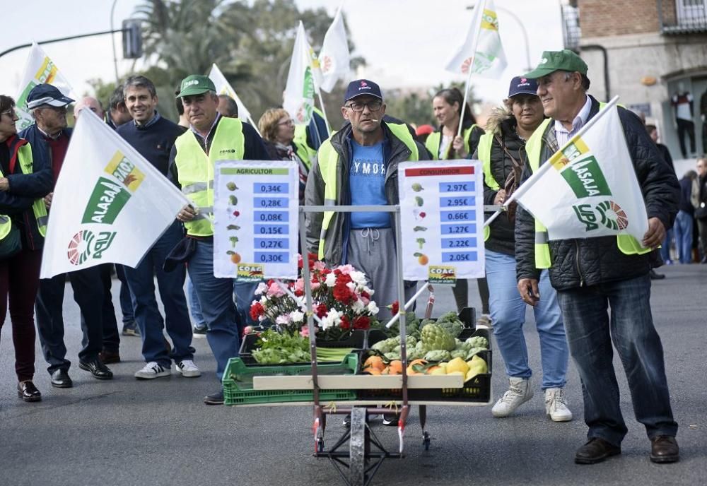 Así ha sido la manifestación de los agricultores en Murcia (II)