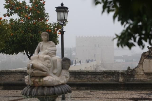 FOTOGALERÍA / Una densa niebla despierta Córdoba