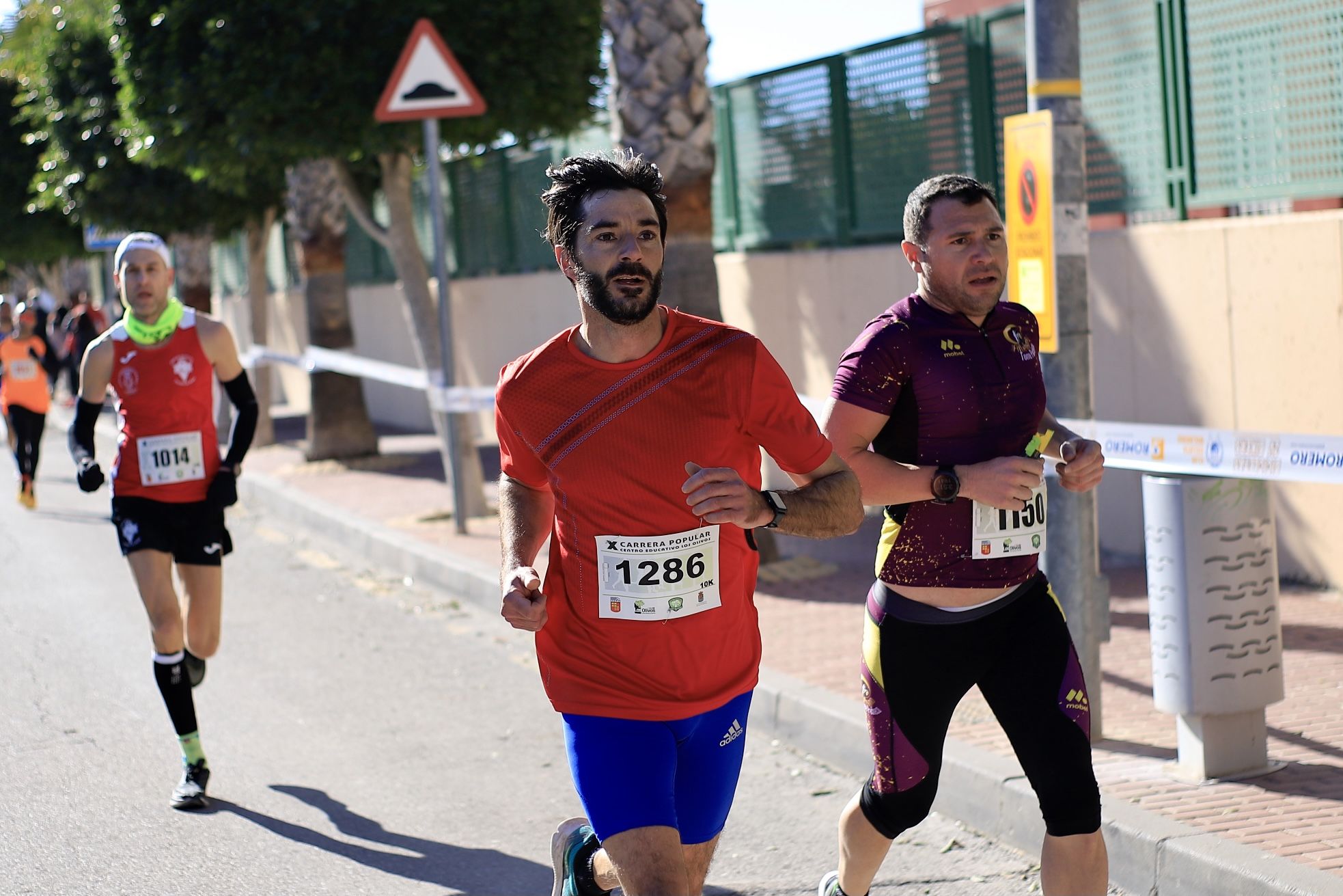 Carrera Popular Los Olivos en Molina de Segura