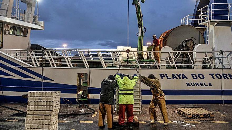 Tres pescadores descargan una captura en el puerto de  El Musel. | |  