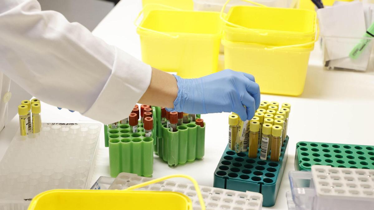 El Chuvi crea un laboratorio para estudiar la compatibilidad en trasplantes de órganos y reproducción