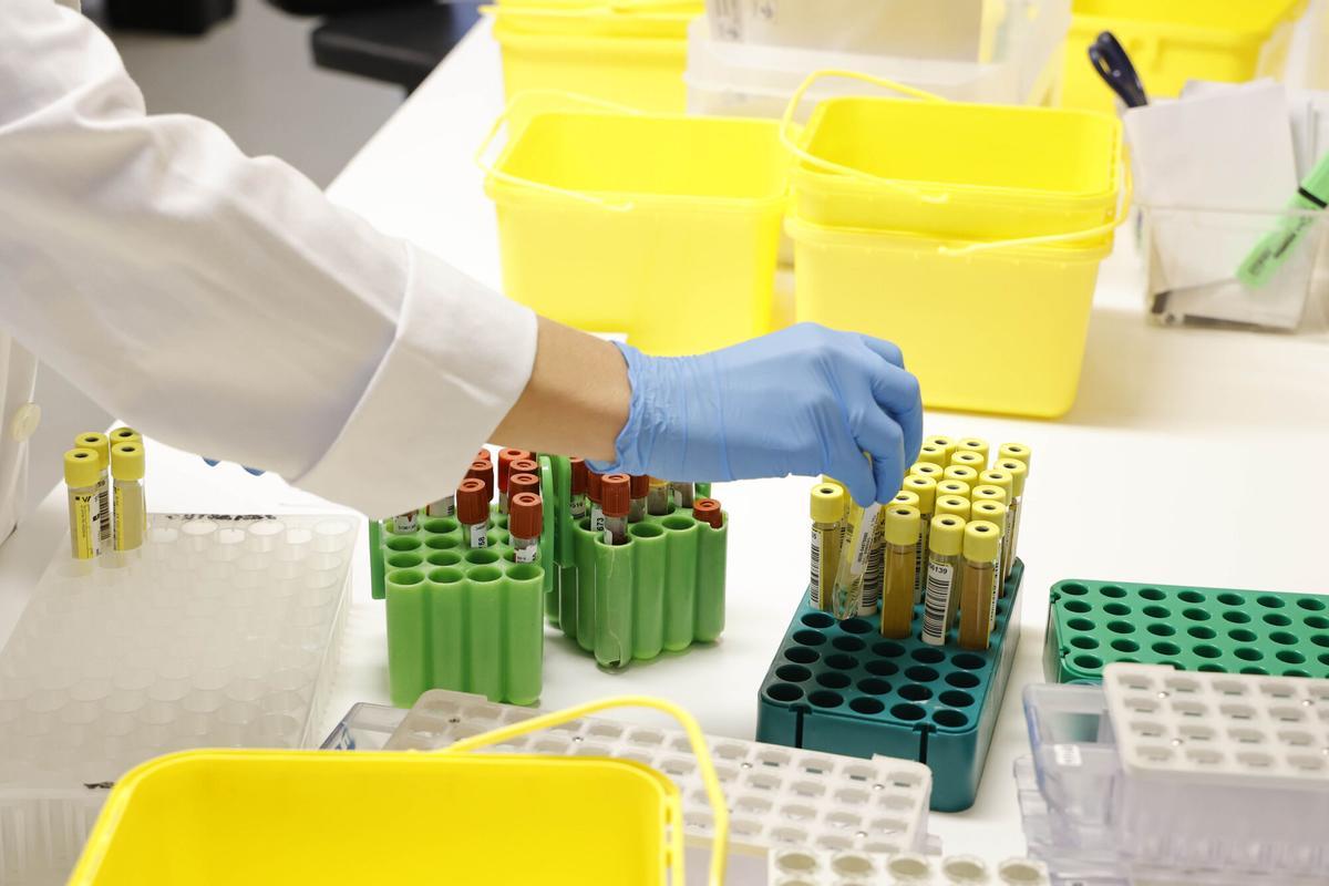 Manejo de muestras en el laboratorio del Meixoeiro.