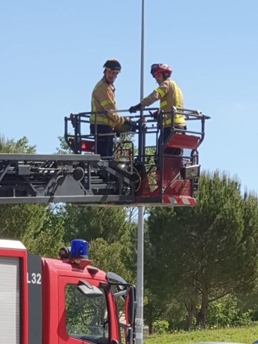 El rescat d'un ocell mobilitza Bombers, Policia Municipal i Agents Rurals a Girona