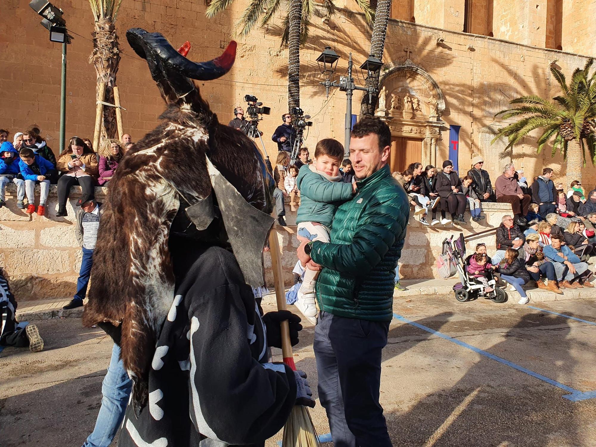 Sant Antoni 2023 | Beneïdes de Muro