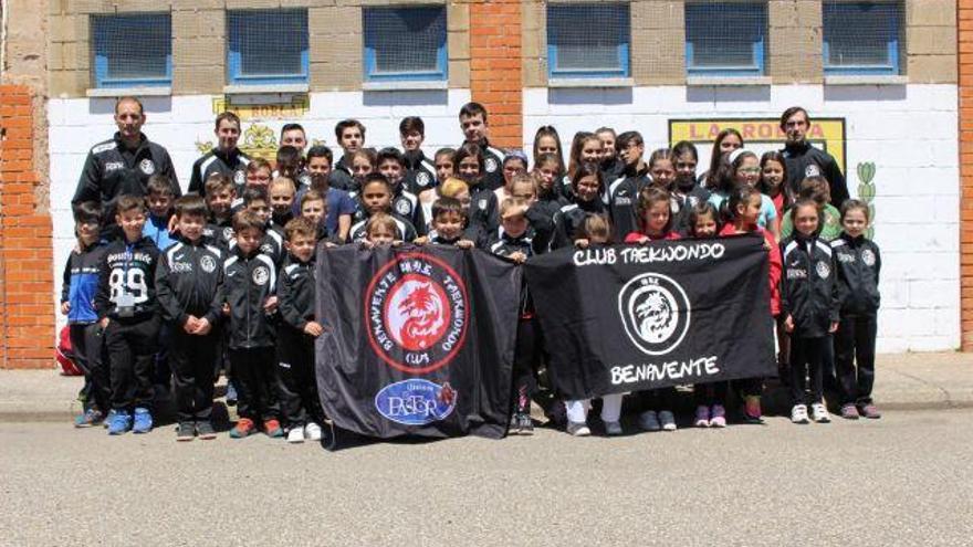 Club Taekwondo Benavente