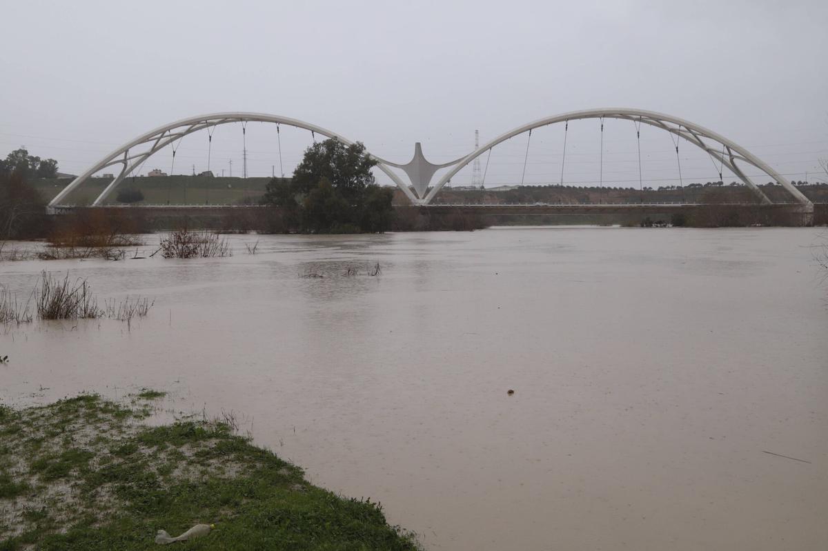 Cauce del río Guadalquivir a su paso por Casillas