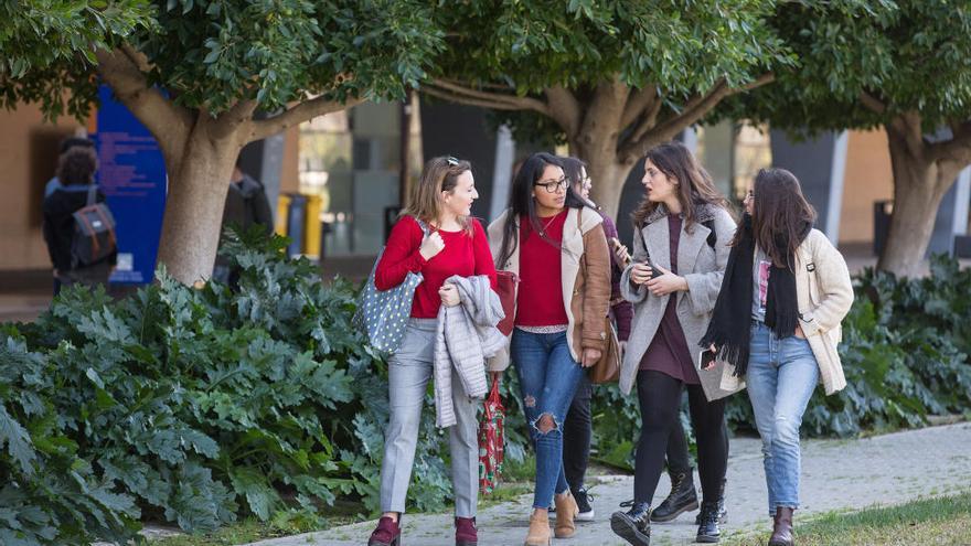 La Universidad de Alicante es la sexta más transparente de España