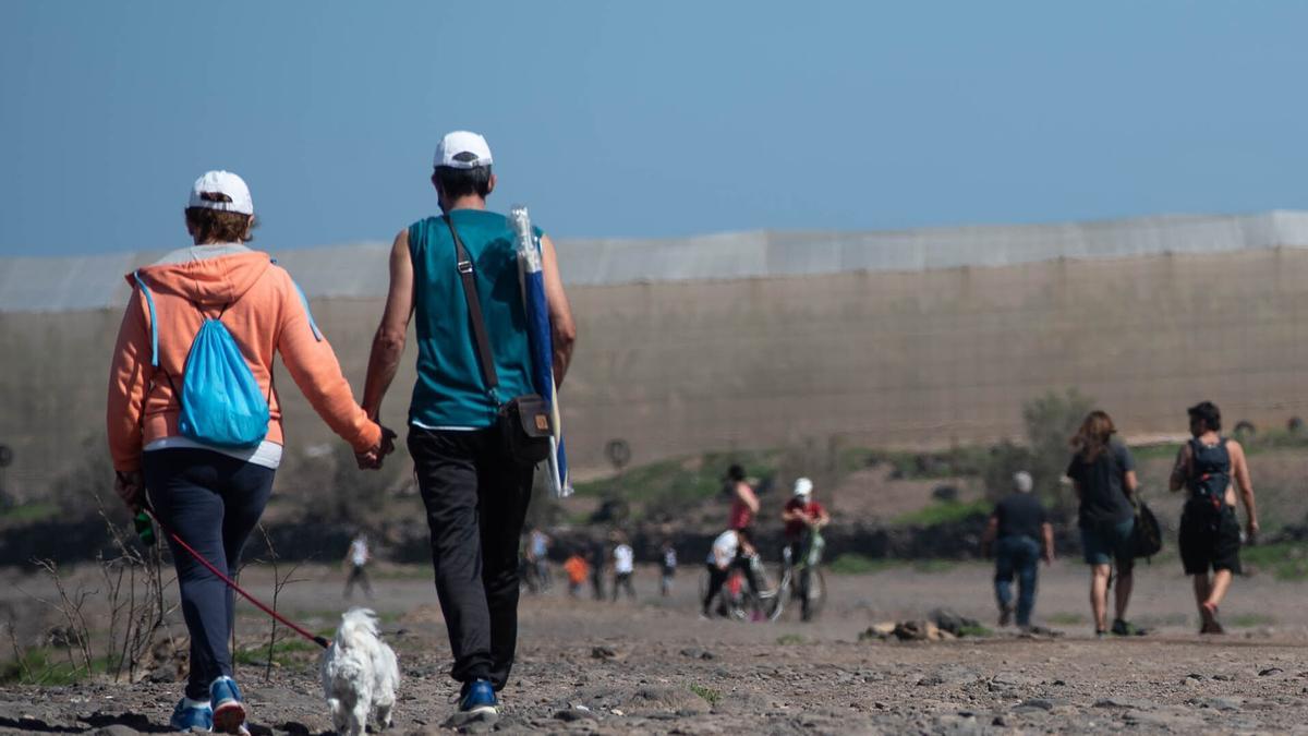 El camino La Costa, en la Punta del Hidalgo.