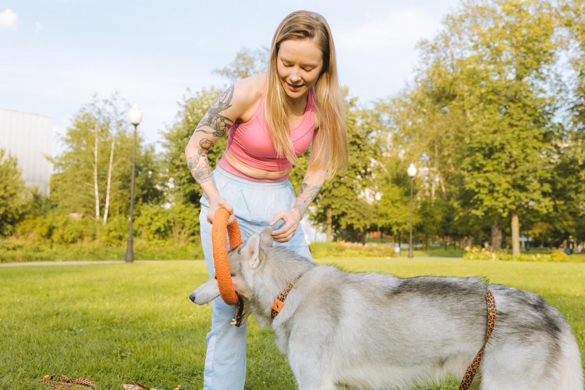 PRODUCTO PERROS LIDL As es la m quina para cortarle el pelo a