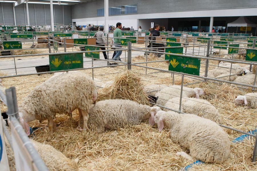 I Feria Raíces Zamora-Rural