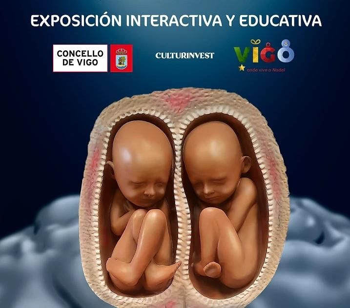 Cartel e la exposición "La Gran Aventura del Cuerpo Humano" organizada por la Navidad en Vigo.