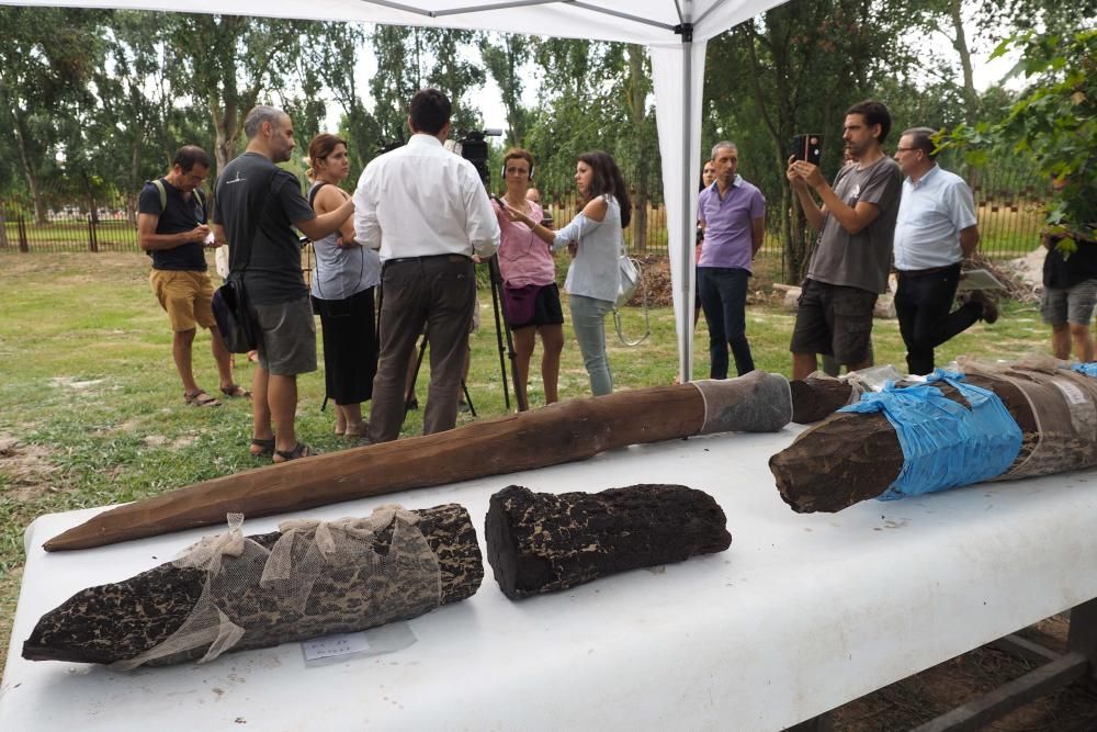 Presentaci   dels resultats de les excavacions arqueologiques del jacimient neol  tic de La Draga de Banyoles.