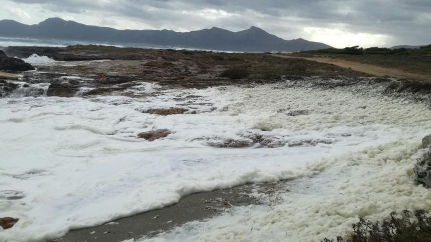 La costa de Son Serra amanece con una capa de espuma espesa