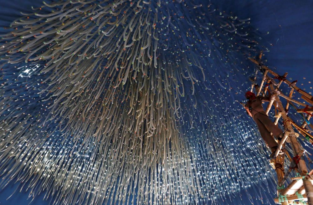 An electrician hangs decorative lights at a ...