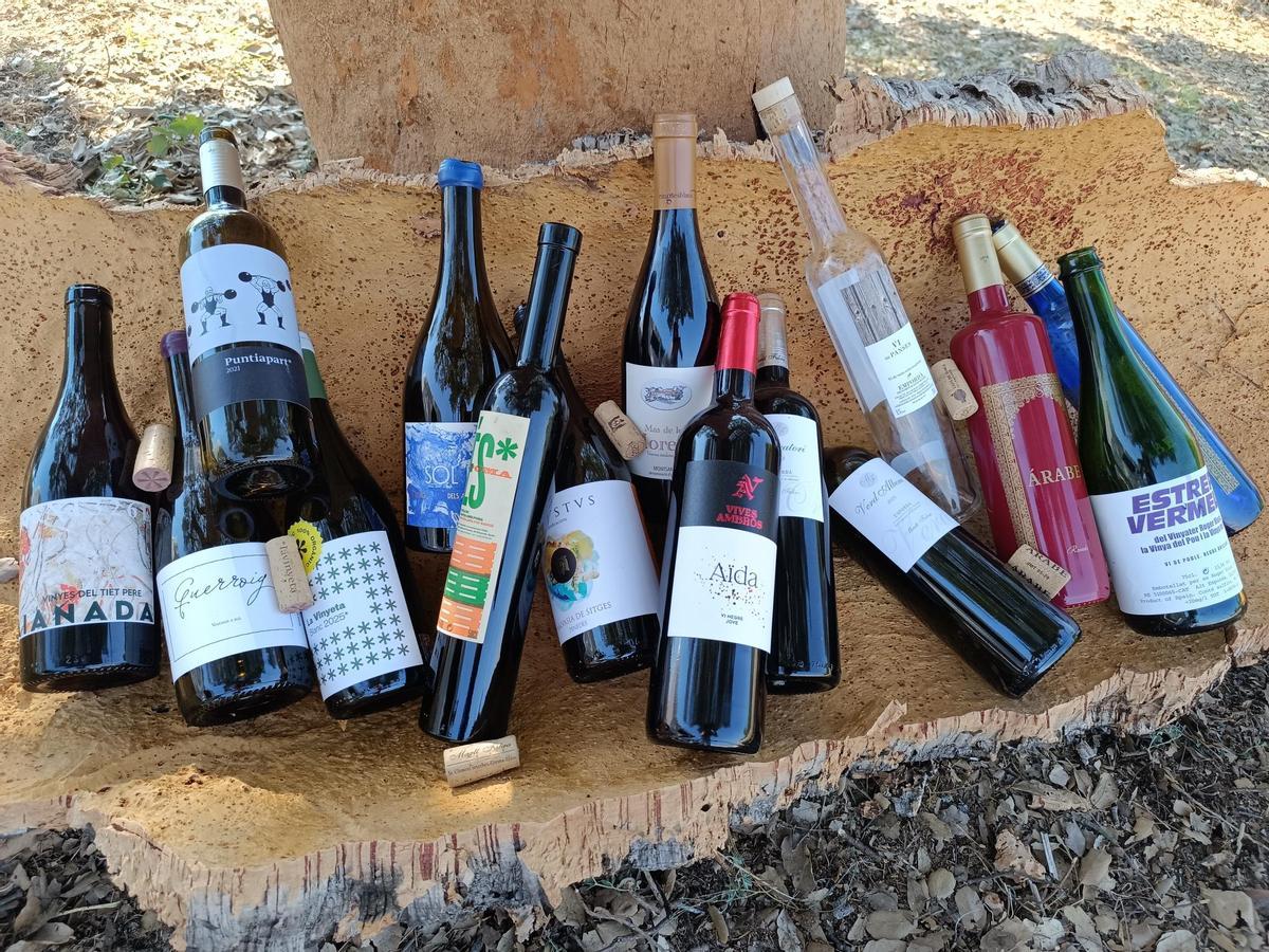Alguns dels vins que es van poder tastar durant el "Sureig".