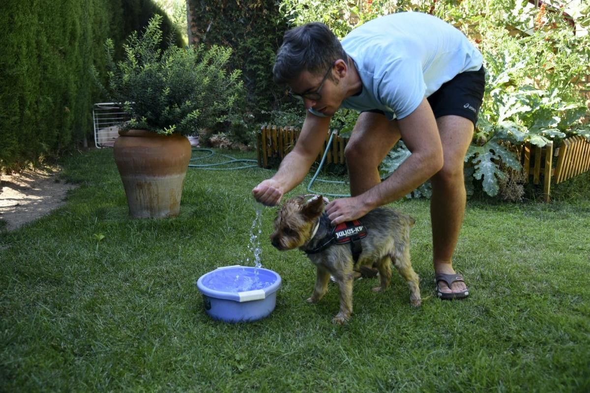 Las mejores imágenes de la ola de calor en Zaragoza