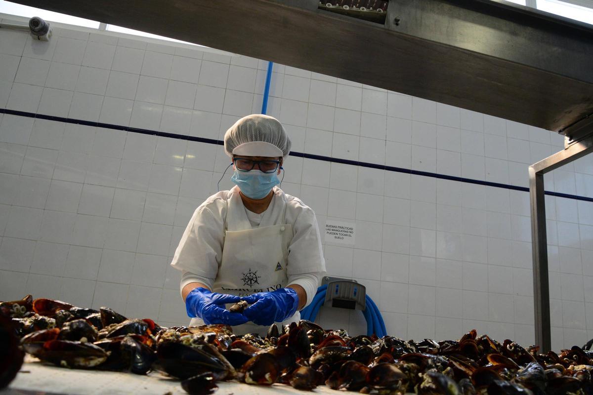 Visita a las instalaciones de Pescados Marcelino, una empresa con más de medio siglo de historia en el puerto de Aldán Visita a las instalaciones de Pescados Marcelino, una empresa con más de medio siglo de historia en el puerto de Aldán