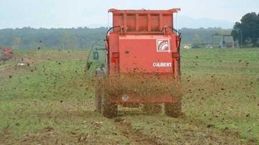 Agricultura controlarà més les dejeccions ramaderes al Solsonès els dos propers anys