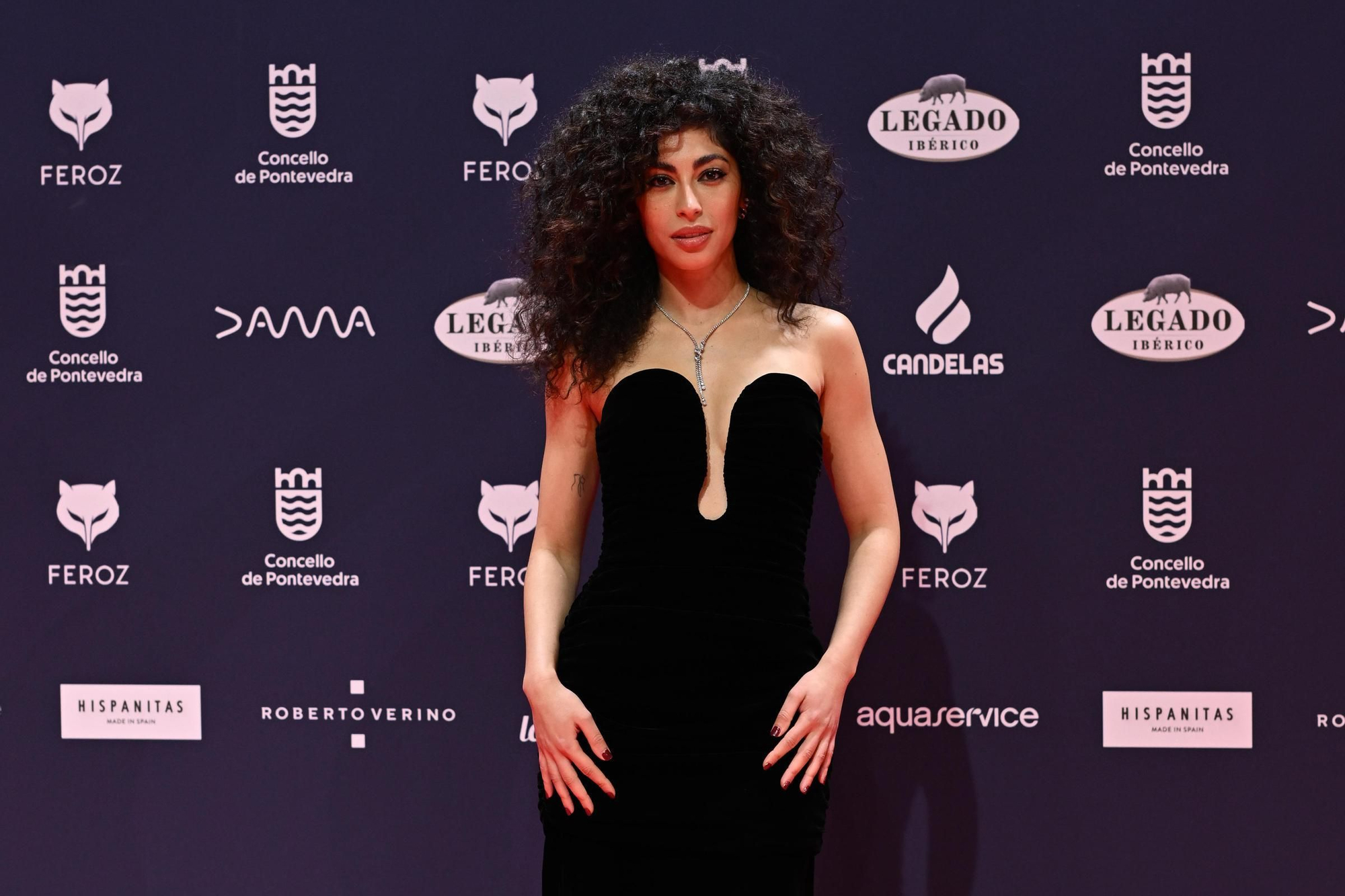 Alfombra roja de los Premios Feroz 2025