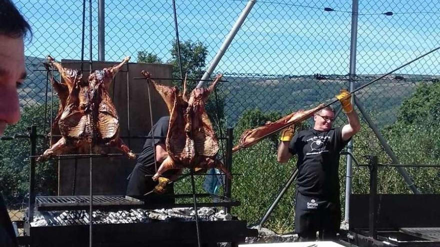 Algunos de los ejemplares que se degustaron en la Festa do Cordeiro de ayer.  // FdV