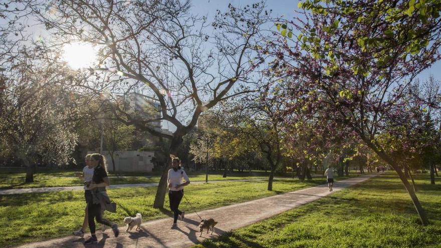 El Jardín del Turia tendrá un bosque en clave fallera.