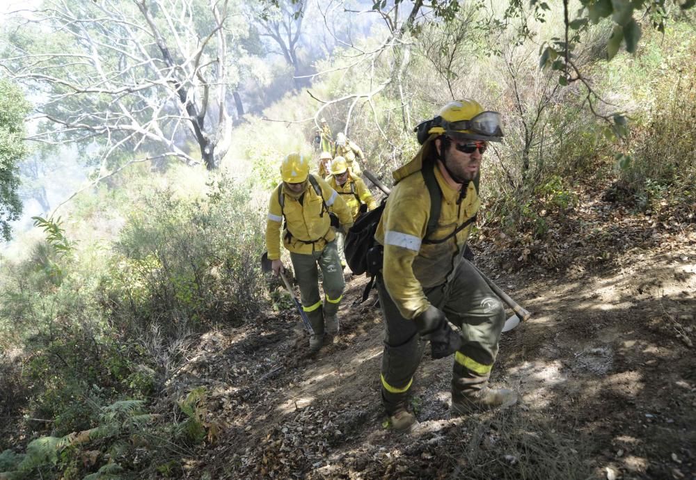 Cinco años desde el gran incendio de la Costa del Sol