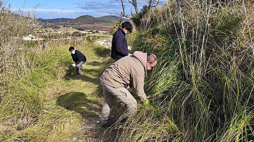 Arqueocet vela por el mantenimiento de cuatro yacimientos de Son Servera