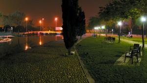 El pasado mes agosto aparecieron, en el lago de la avenida de Francesc Macià de Parets del Vallès, cerca de una docena de patos muertos.