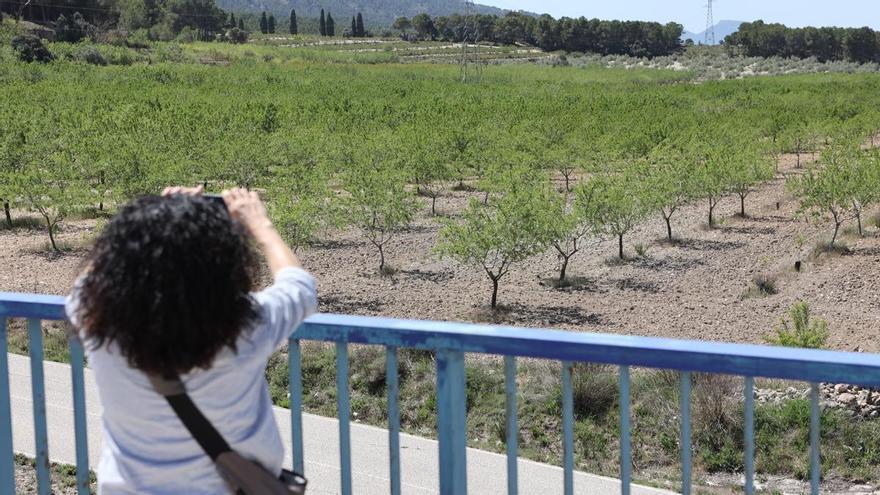 El rechazo de Guanyar complica la cuestión de confianza sobre el presupuesto de Alcoy
