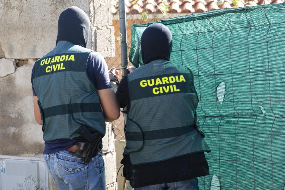 Dos detinguts i 1.500 plantes de marihuana descobertes en més escorcolls contra el clan de la Selva i el Gironès