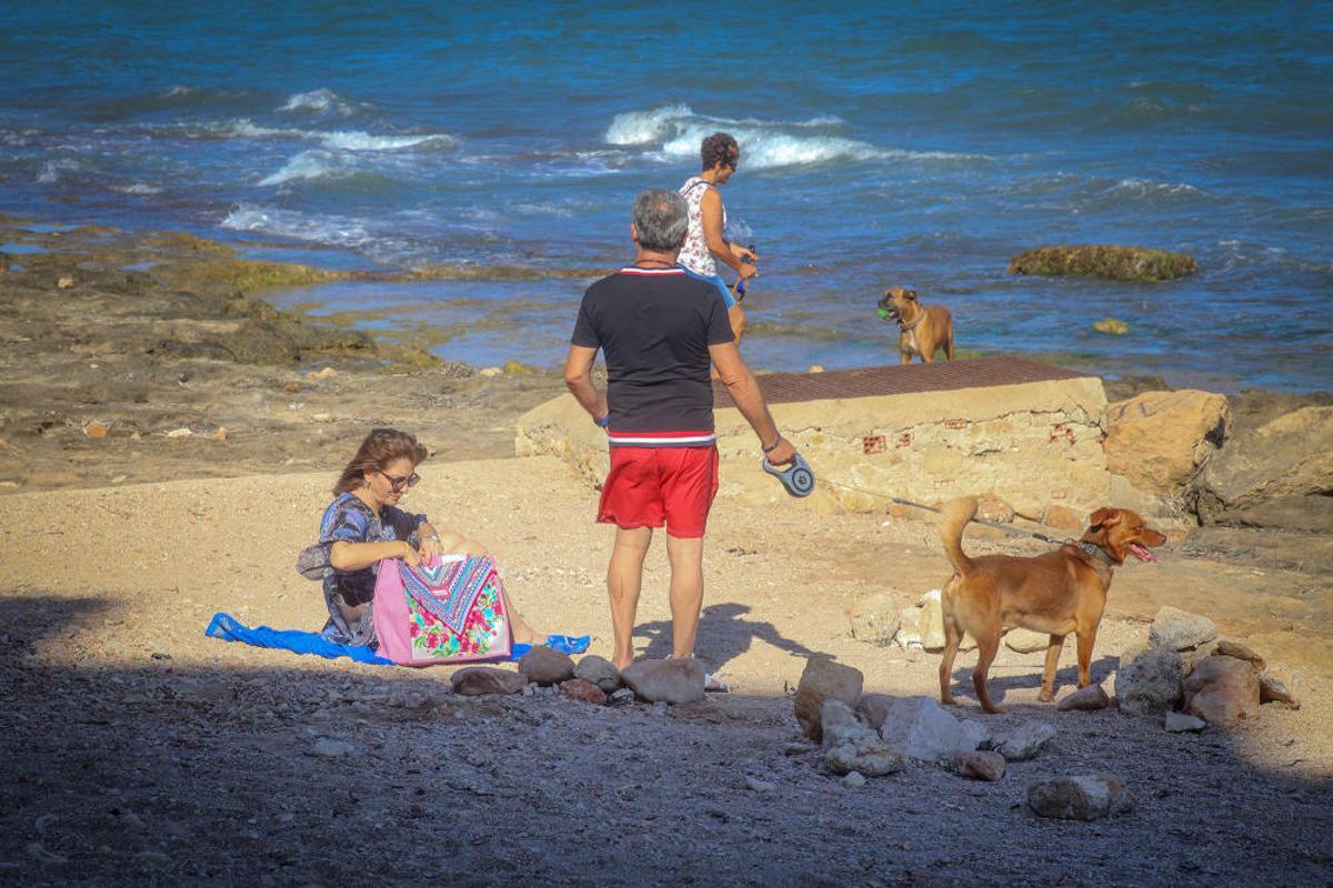 Docenas de usuarios de las playas acompañados de sus perros acudieron a Punta Margallo a pedir respeto y civismo en estos tramos litorales tras los "actos de sabotaje" de las señalizaciones