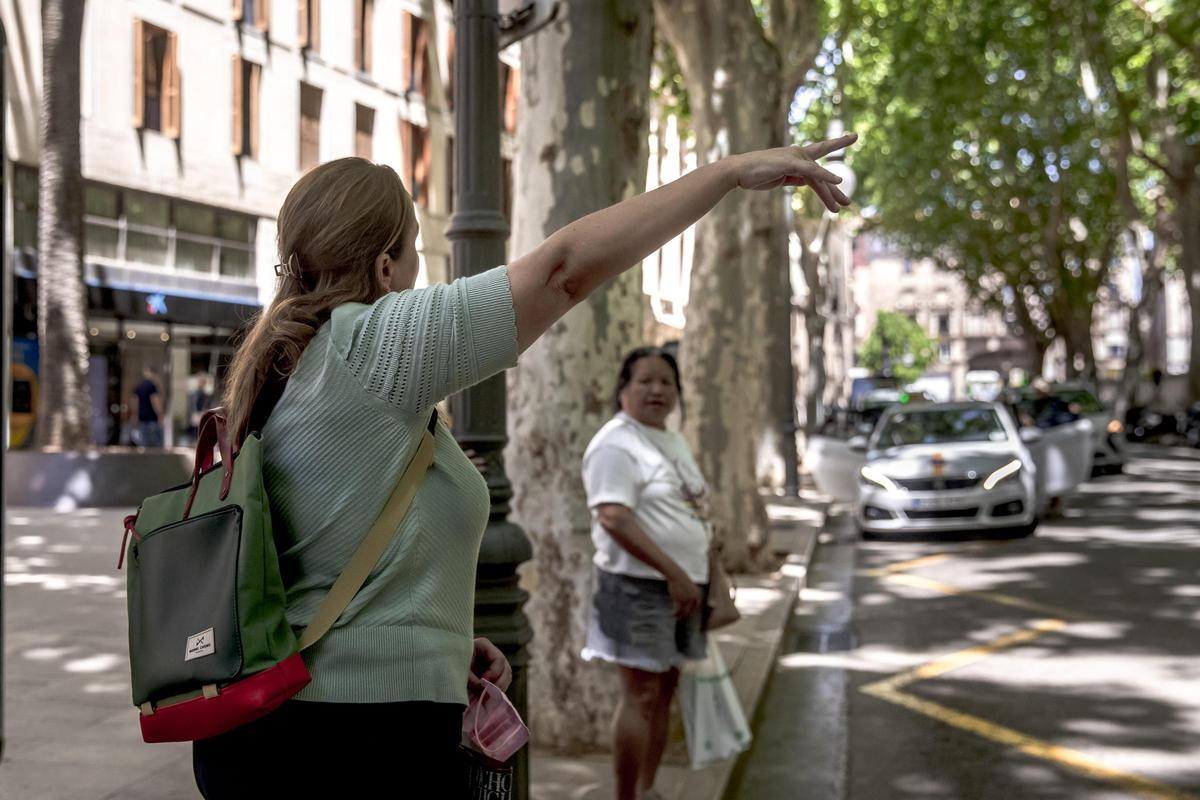 La parada del Born es una de las que más problemas de escasez de taxis registra en verano