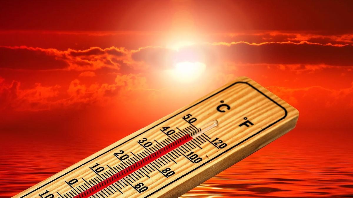 El calor extremo por el cambio climático mata cada vez más
