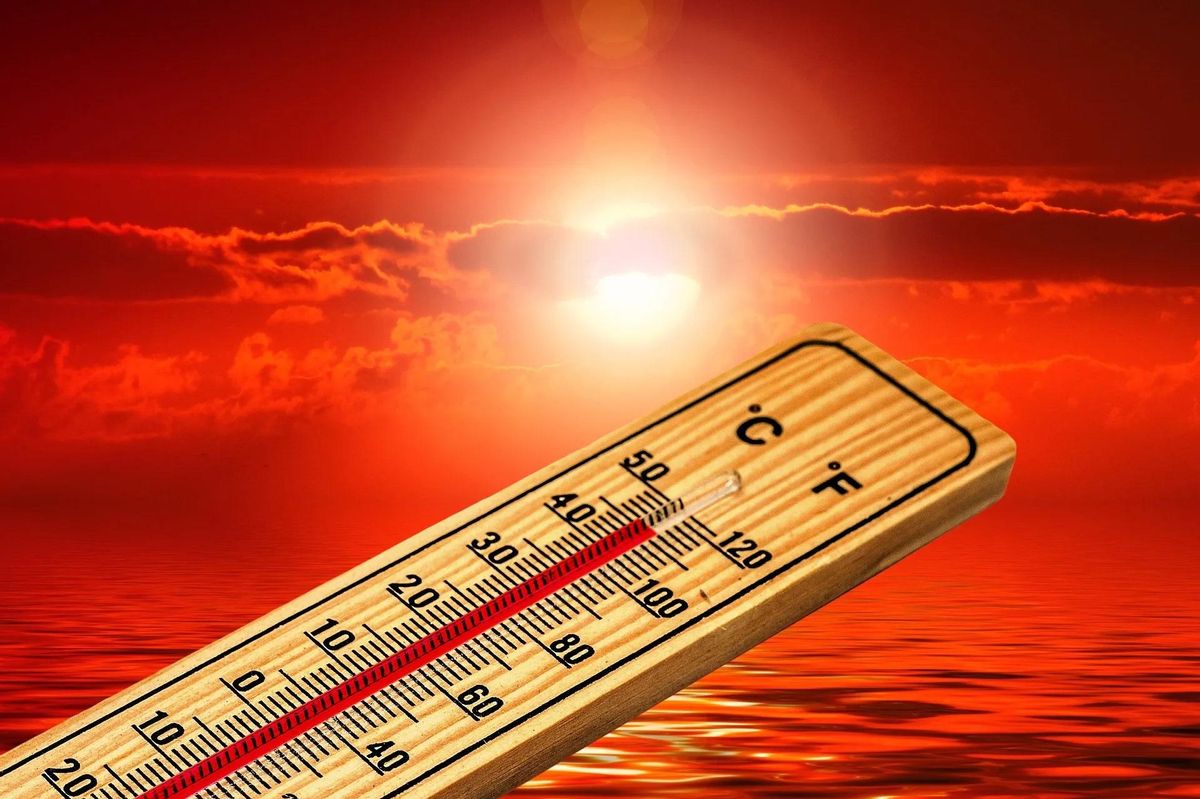 El calor extremo por el cambio climático mata cada vez más