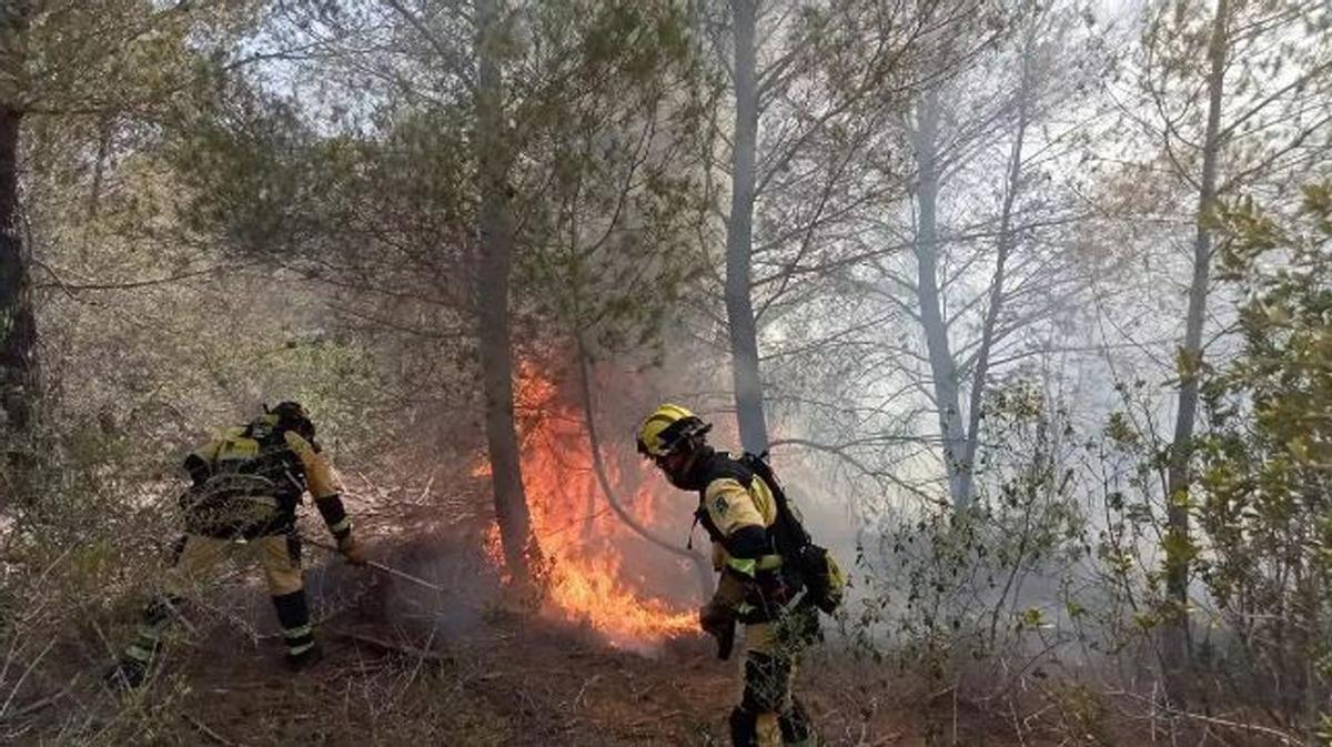 Unvergessenes Flammenmeer: Bei dem Inferno im Sommer 2013 brannten in Andratx, Calvià und Estellencs insgesamt 2.335 Hektar Busch- und Waldland ab.  | FOTO: XARXA FORESTAL