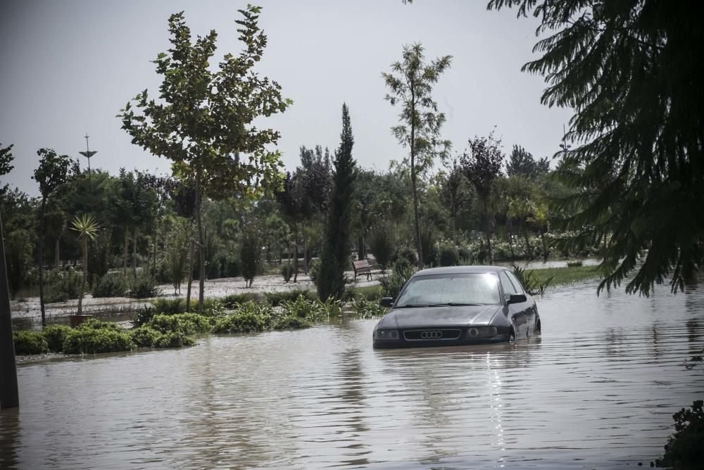 Las imágenes de las inundaciones en Almoradí y Dolores