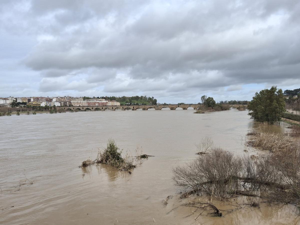 El río Guadiana a su paso por Badajoz.