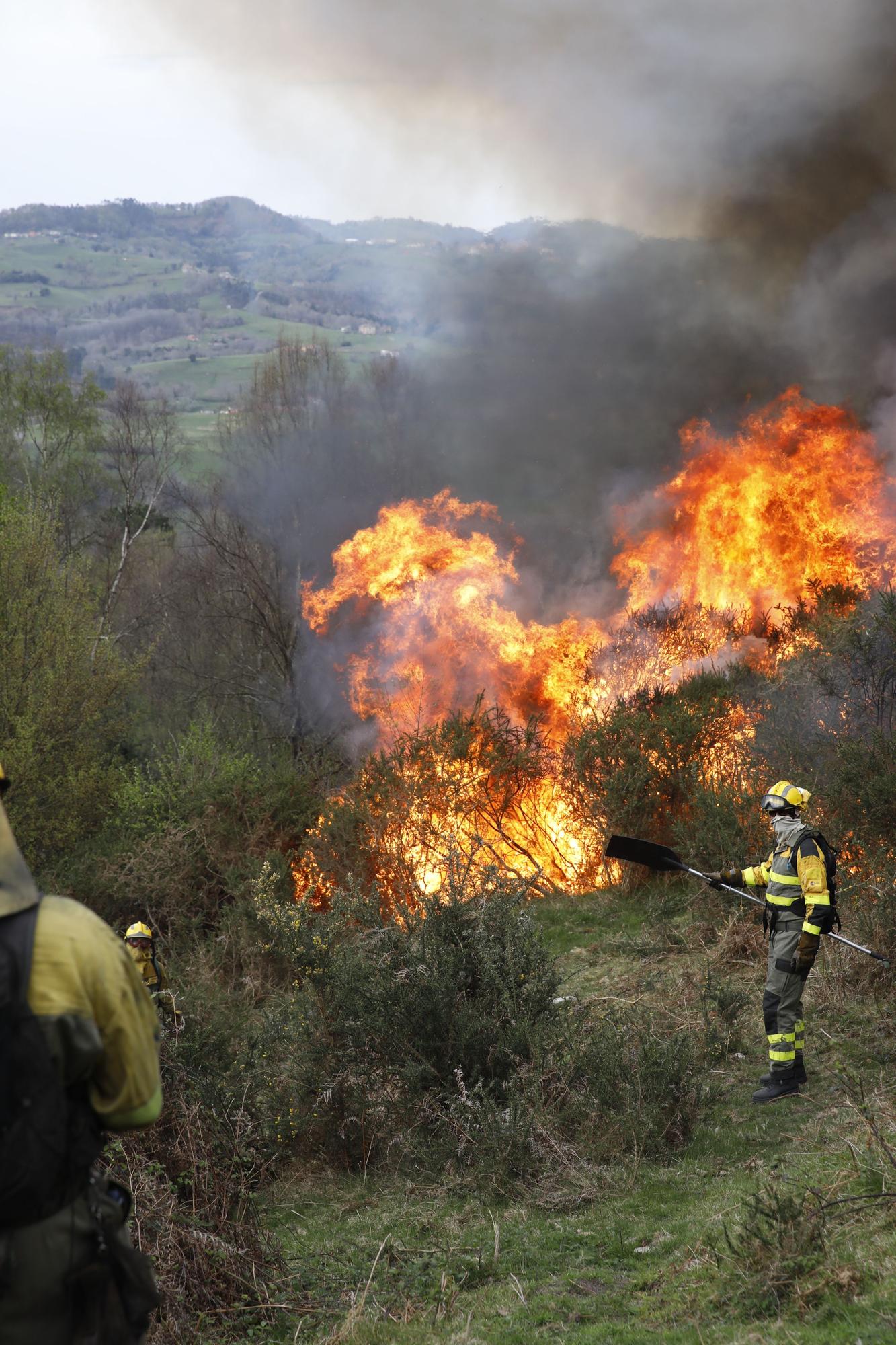 La lucha contra el fuego en el incendio entre Nava y Piloña