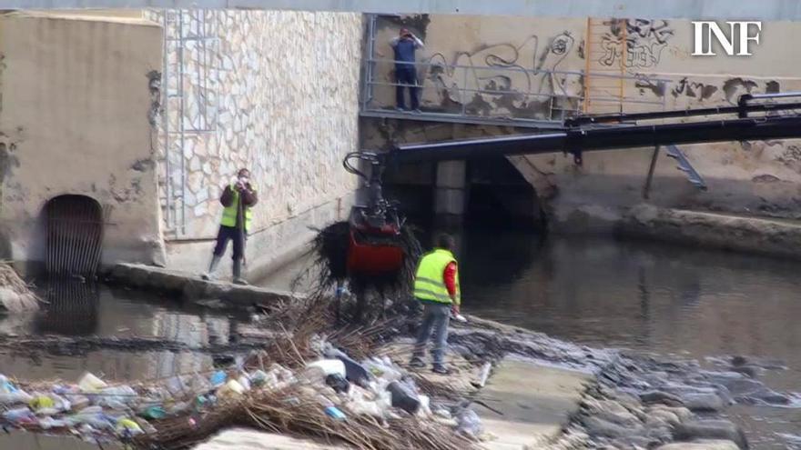 Limpieza del río Segura en Orihuela