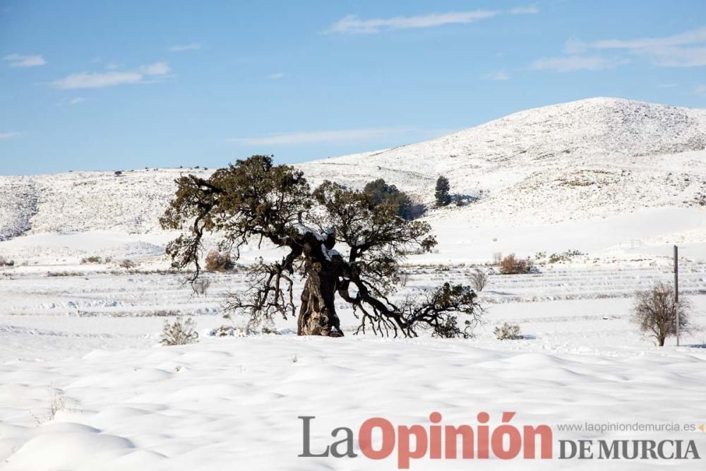 Nieve en la comarca del Noroeste (Pedanía de Los R