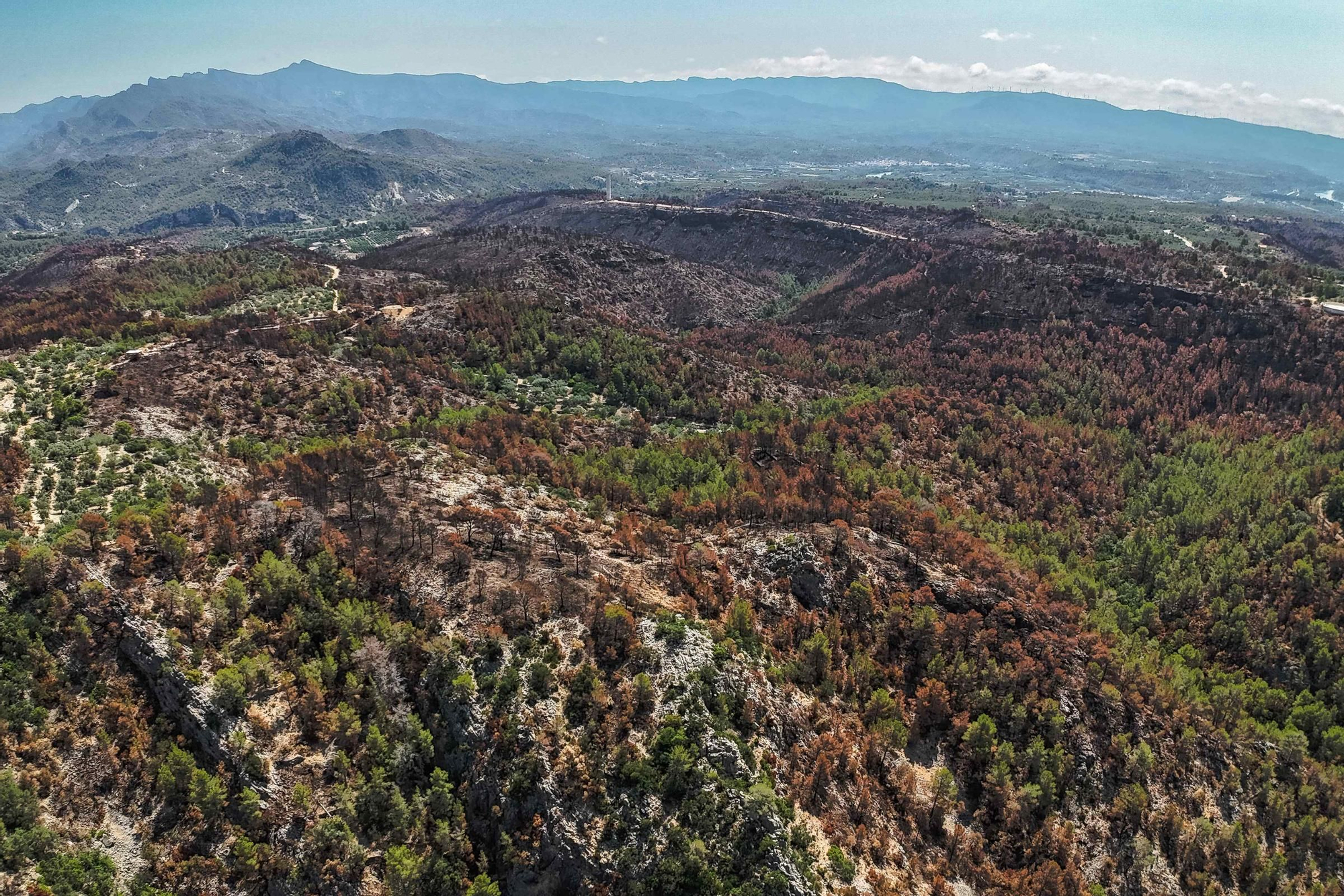 Les fotos de l'incendi de Paüls a vista de dron