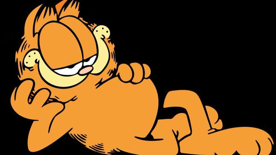Imatge de la sèrie Garfield