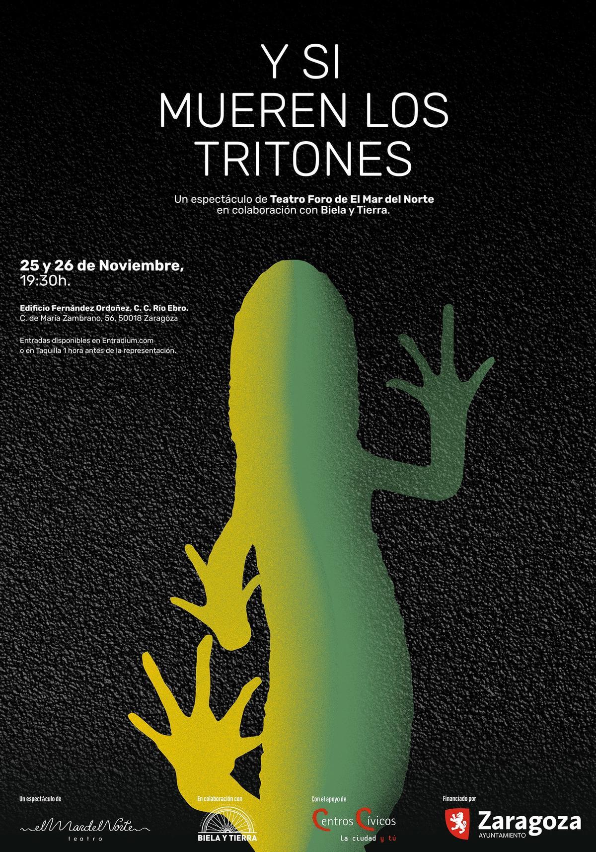 El cartel del proyecto.