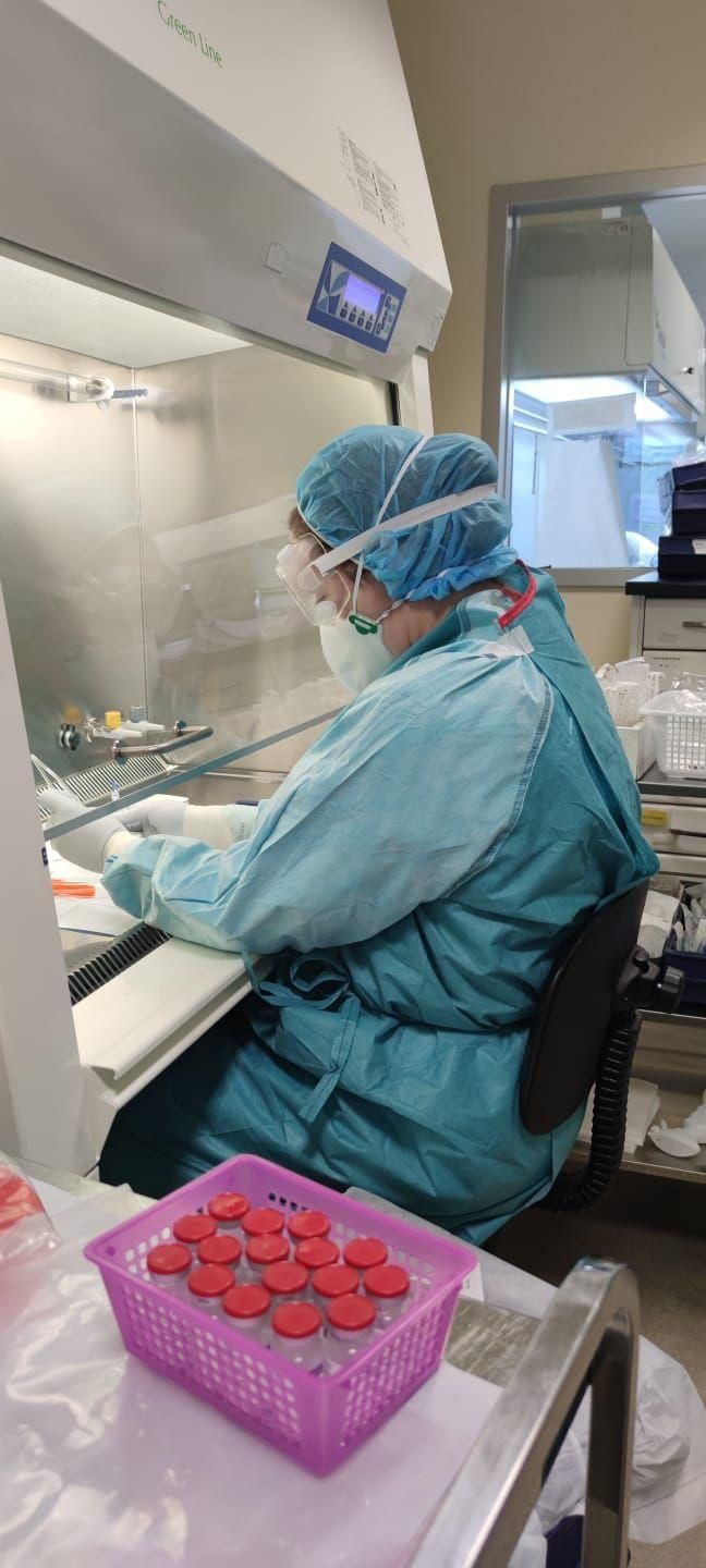 Preparación del tratamiento contra la hemofilia B con terapia génica en el hospital Álvaro Cunqueiro de Vigo
